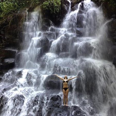 Sanggingan Villa Ubud  Luaran gambar