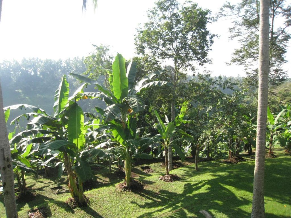 Sanggingan Villa Ubud  Bilik gambar